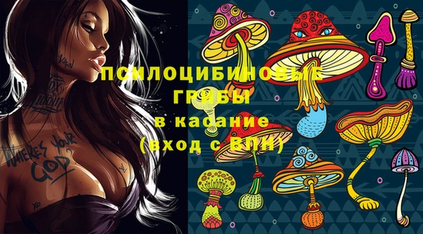 ГАЛЛЮЦИНОГЕННЫЕ ГРИБЫ Абинск