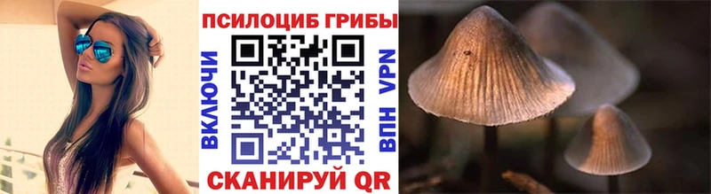 купить  цена  Ленинградская  Галлюциногенные грибы Psilocybine cubensis 
