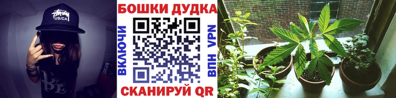 ОМГ ОМГ онион  Ленинградская  Каннабис индика  купить наркотики цена 